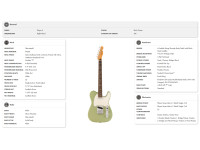 Fender Player II Telecaster Rosewood Fingerboard Birch Green Fender Player II Telecaster Rosewood Fingerboard Birch Green